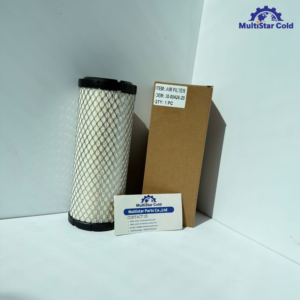 Air Filter 30-00426-20 for Carrier CT4-114TV CT4-134DI (1)