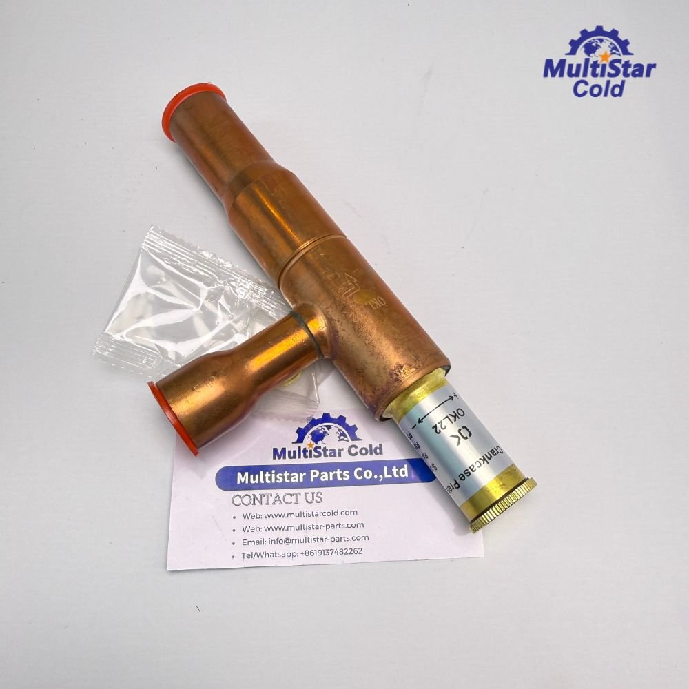 Starting Valve 14-60014-09 for Carrier Supra Xarios