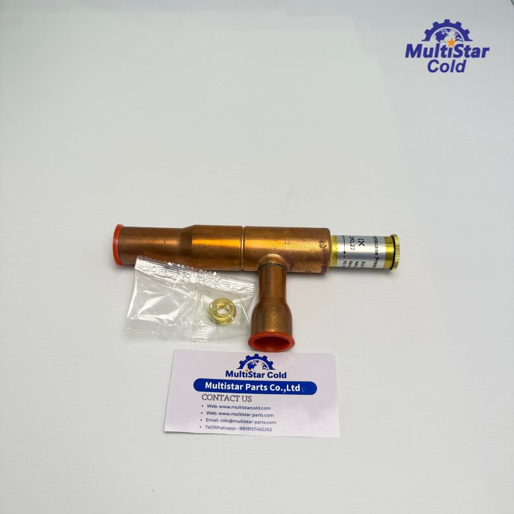 Starting Valve 14-60014-09 for Carrier Supra Xarios