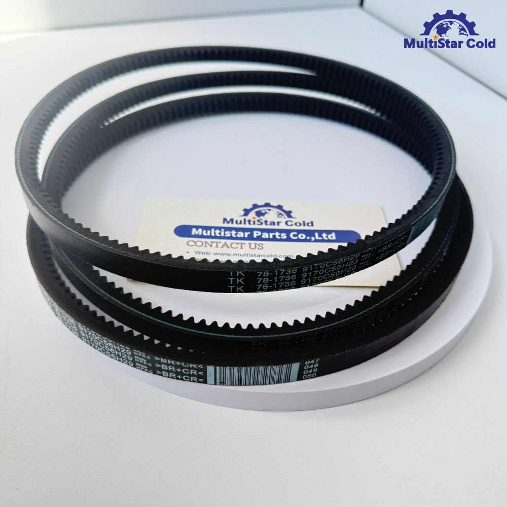 Thermo King Water Pump Belt 78-1736 – In Stock!