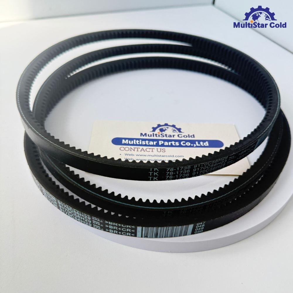 Thermo King Water Pump Belt 78-1736 – In Stock!