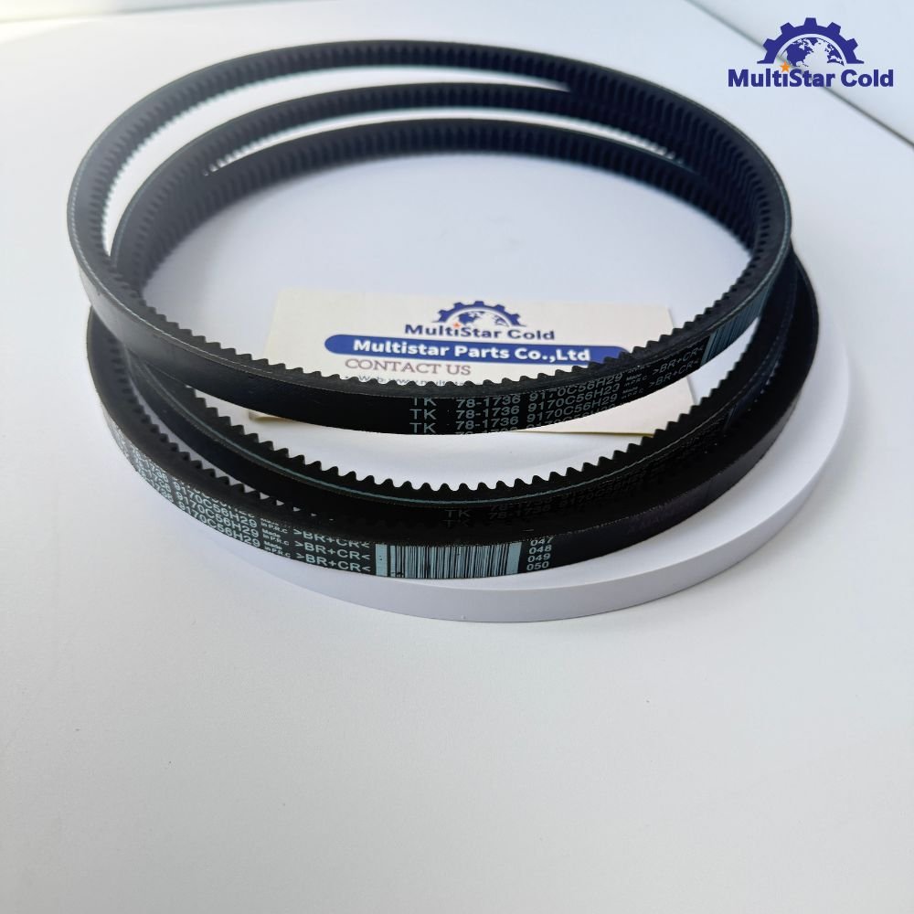 Thermo King Water Pump Belt 78-1736 – In Stock!