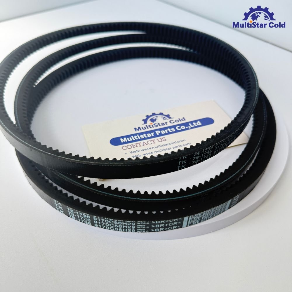 Thermo King Water Pump Belt 78-1736 – In Stock!